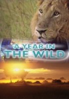 Дикая природа и времена года/A Year in the Wild