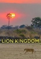Львиное королевство/Lion Kingdom