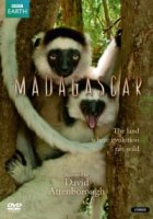 Мадагаскар: Земля, где эволюция шла своим путем/Madagascar: The land where evolution ran wild