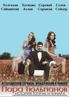 Пора тюльпанов/Lale Devri