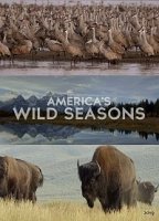 Времена года в дикой природе Америки/Americas Wild Seasons