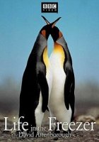 Жизнь в морозильнике/Life in the Freezer