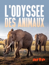 Одиссея животных/Lodyssée des animaux
