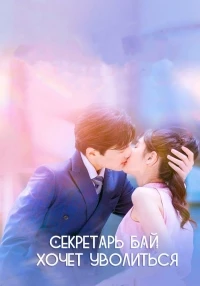 Секретарь Бай хочет уволиться/Secretary Bai Wants to Resign Everyday