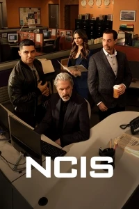 Морская полиция. Спецотдел./NCIS 23 сезон